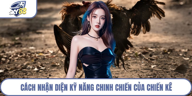 Cách nhận diện kỹ năng chinh chiến của chiến kê