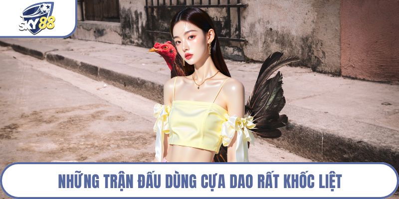 Những trận đấu dùng cựa dao rất khốc liệt