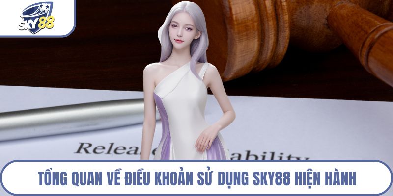 Tổng quan về điều khoản sử dụng Sky88 hiện hành