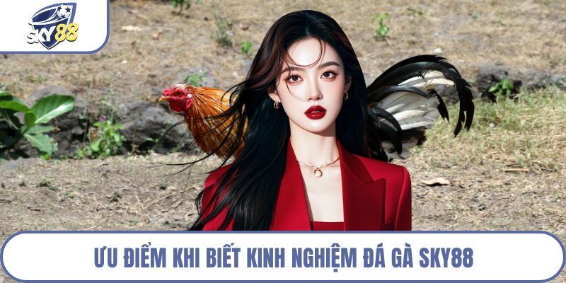 Ưu điểm khi biết kinh nghiệm đá gà Sky88