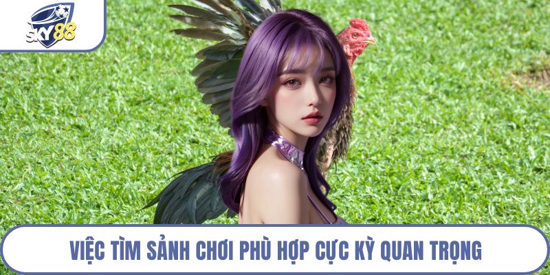 Việc tìm sảnh chơi phù hợp cực kỳ quan trọng